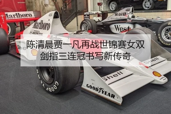 chen-qing-chen-jia-yi-fan-zai-zhan-shi-jin-sai-nv-shuang-jian-zhi-san-lian-guan-shu-xie-xin-chuan-qi-1-576.jpg