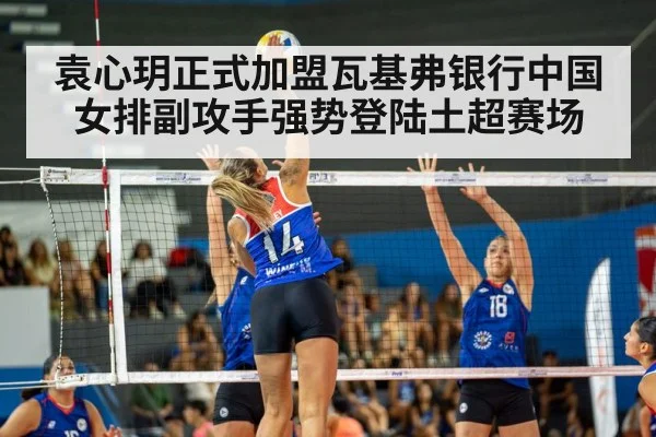 women's volleyball match